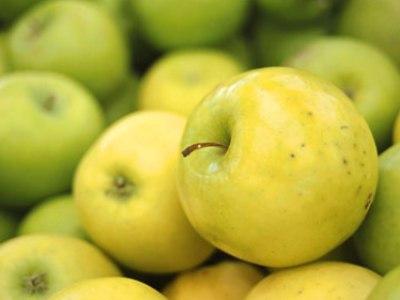 как готовить шарлотку из яблок на кефире