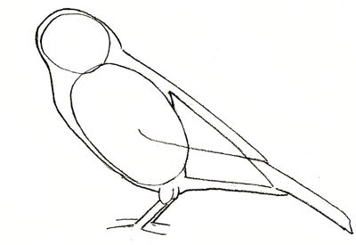 как нарисовать птичку карандашом поэтапно 