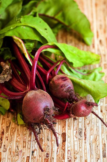 planting carrots and beets