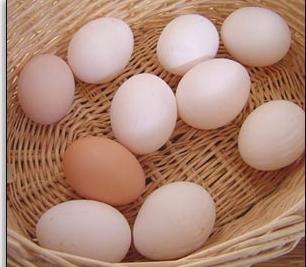 пищевая ценность вареного яйца 