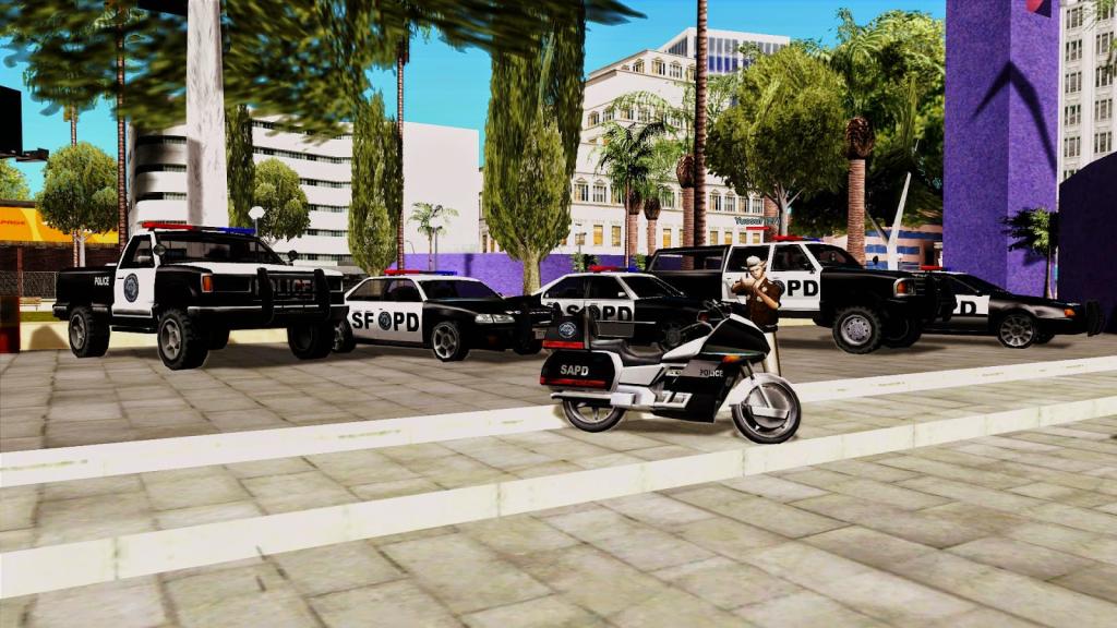 Police in GTA SA.