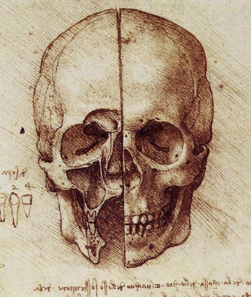 Череп написать. Леонардо да Винчи череп. Леонардо да Винчи анатомический рисунок черепа. Леонардо да Винчи черепная коробка. Анатомические зарисовки Леонардо Давинчи.