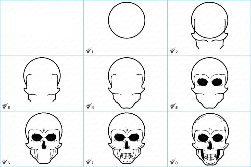 Пошаговое изображение черепа