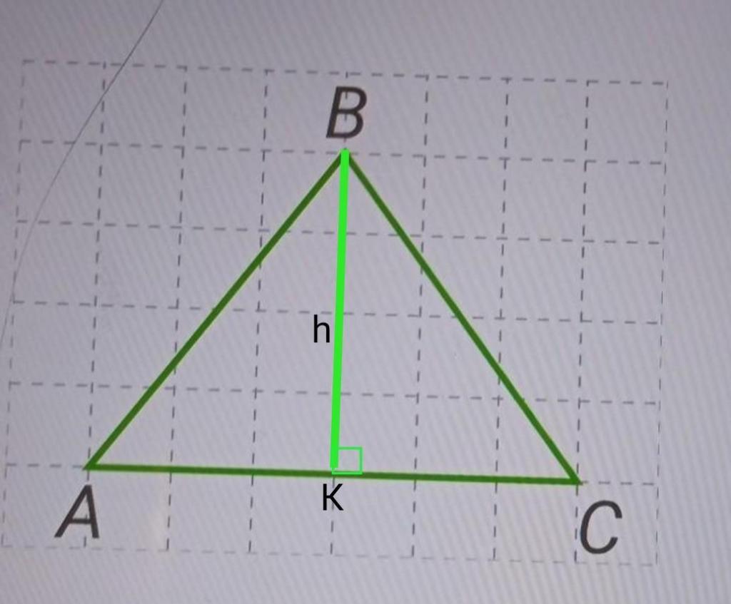 На бумаге в клетку нарисовали треугольник длина стороны клетки 5 условных единиц найдите площадь
