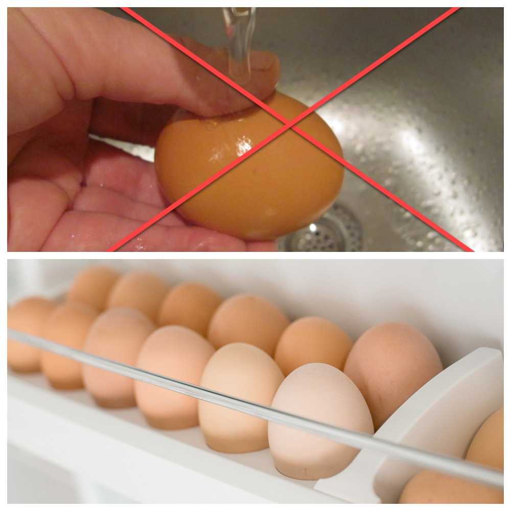 Почему яйца нежелательно мыть. Мытье яиц. Яйцо куриное. Яйца в холодильнике. Мытые яйца.