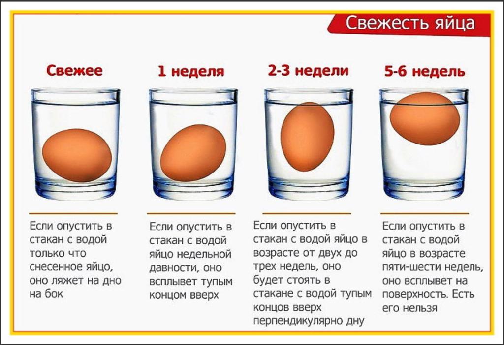 Как проверить свежесть яица