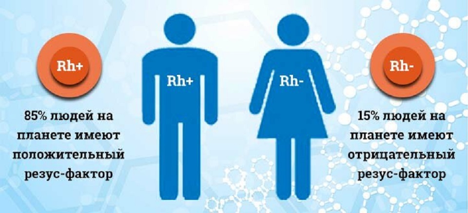 Соотношение отрицательного и положительного резус-фактора