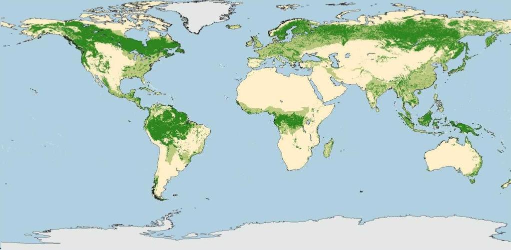 Распространение широколиственных лесов на планете