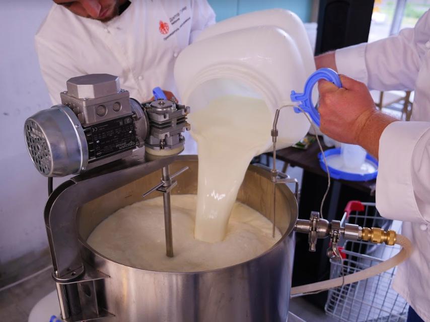 Пастеризация что это. Процесс пастеризации молока. Перемешивание молока. Пастеризация сыра. Молочный пастеризатор.