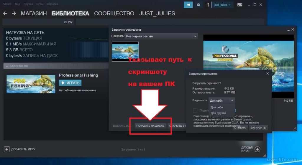 Интерфейс скриншотов Steam