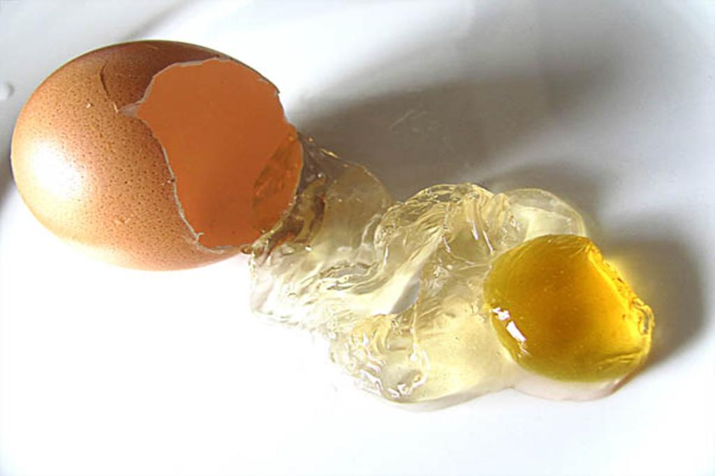 Искусственные яйца из китая