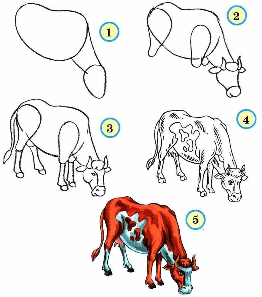 Рисование коровы пошагово