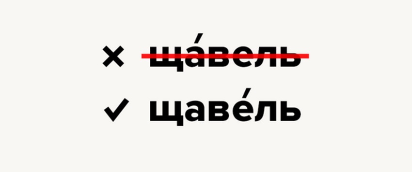 Ударение в слове «щавель»