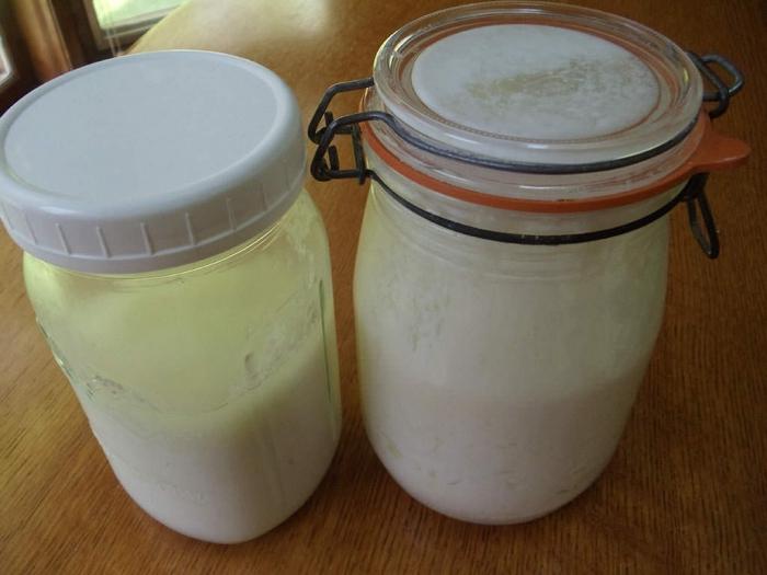 fasting days on kefir reviews