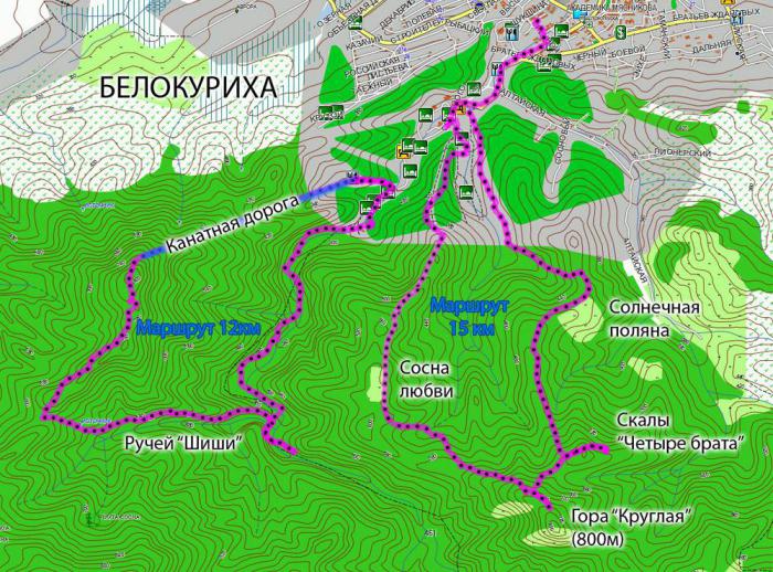 Карта спутниковая белокурихи