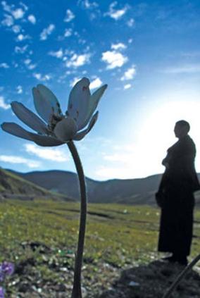 око возрождения упражнения тибетских монахов