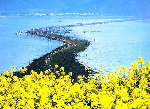 курорты Желтого моря