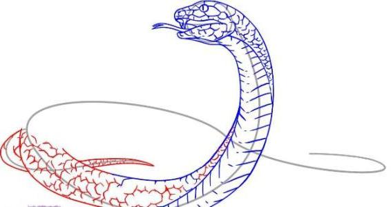 Как нарисовать поэтапно змею