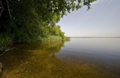 Учинское водохранилище фото