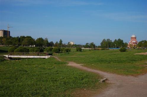 муринский парк прокат велосипедов