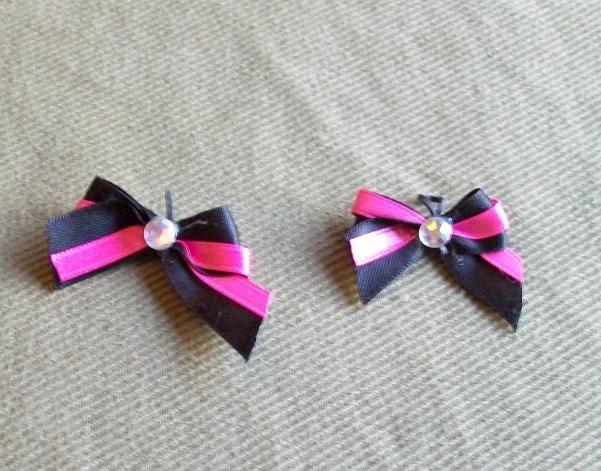 beautiful ribbon bow