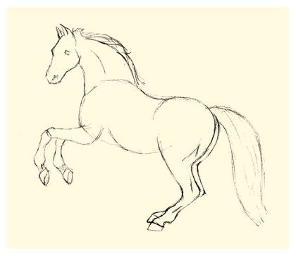 как нарисовать красивую лошадь контуры