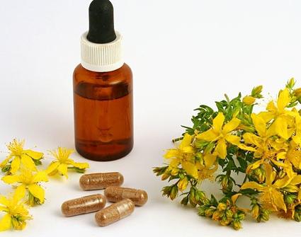 St. John's wort plant medicinal properties