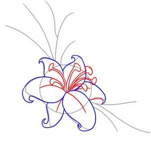 как нарисовать цветы поэтапно тычинки
