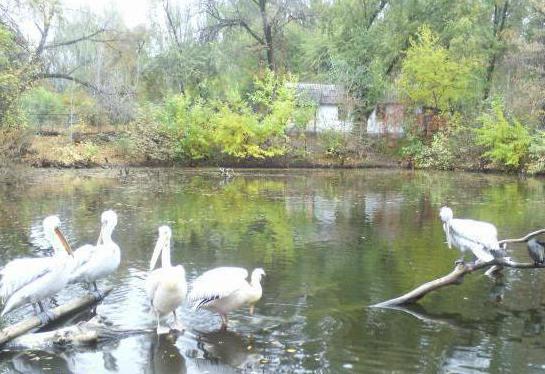 Almaty zoo