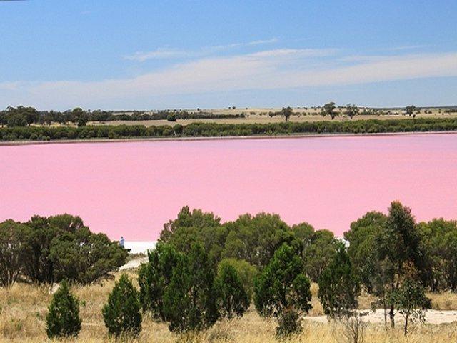 Розовое озеро: фото