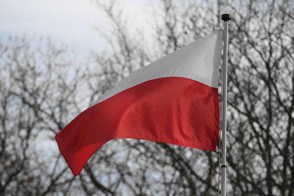 Национальный флаг Польши