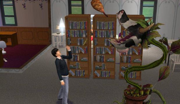 cheats for sims 2