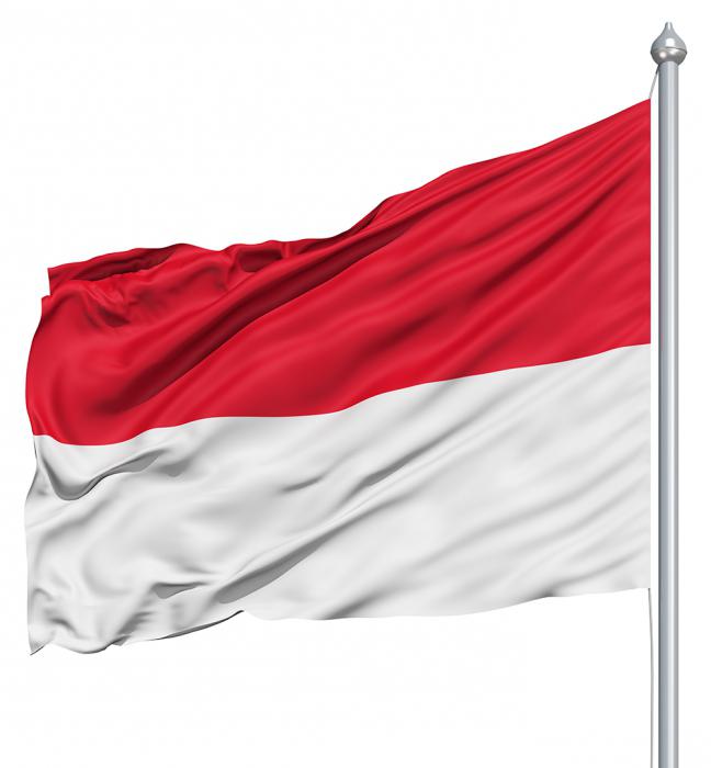 flag of indonesia photo