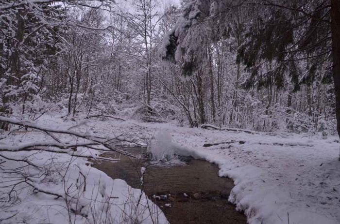 Gatchina geysers how to get by car