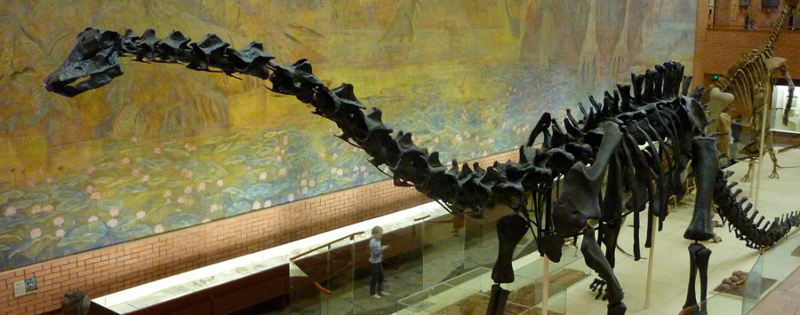 Музей Динозавров в Москве