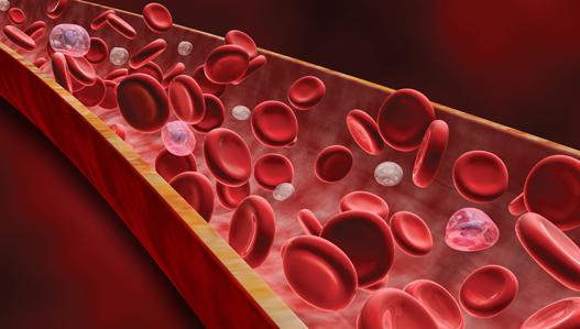 понизить лейкоциты в крови народными средствами