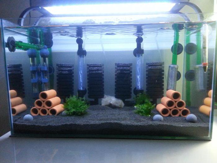 which filter is the best for the aquarium