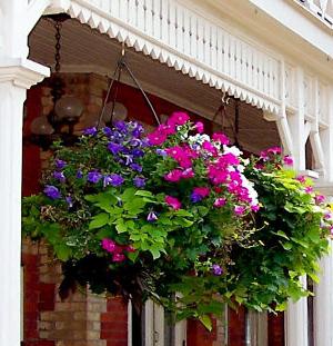 hanging flower pots photo