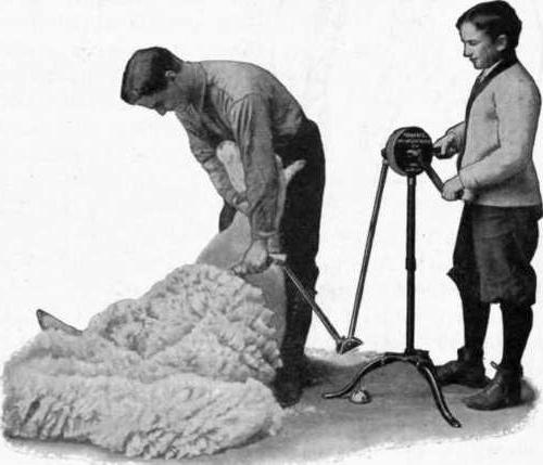 electric sheep shearing machine