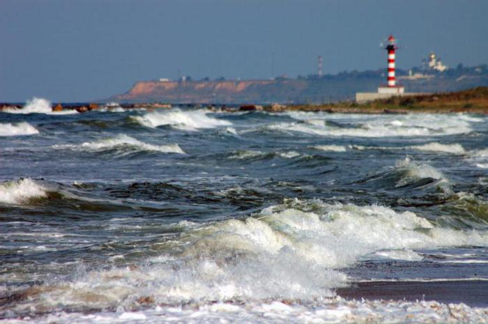 базы отдыха у моря в Одессе