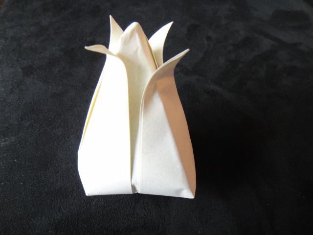 tulip from paper diagram