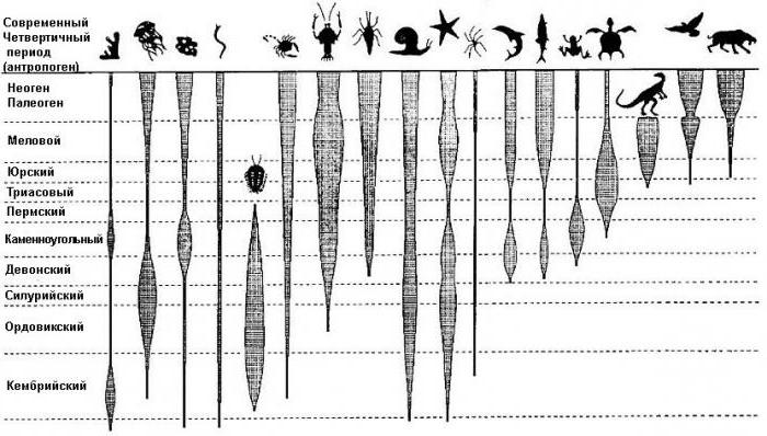  шкала геологического времени это