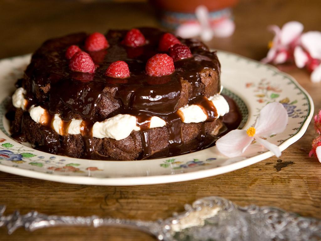 Рецепт шоколадного торта в домашних условиях с фото пошагово