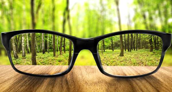 glasses and nature