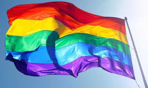 флаг гейского движения