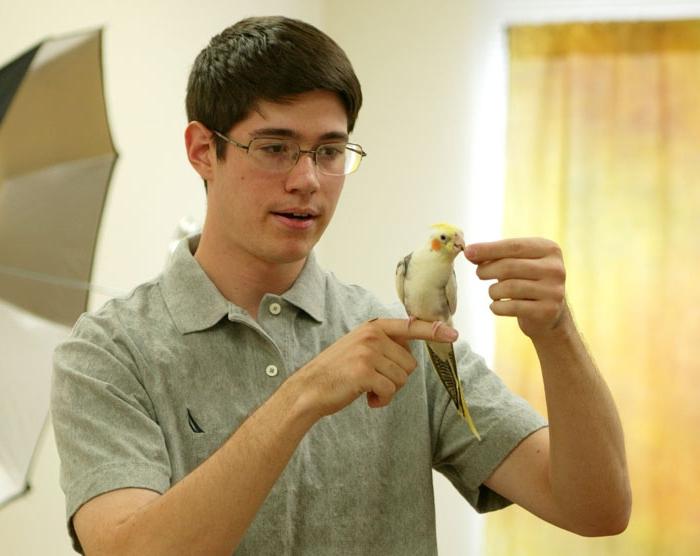 как научить говорить попугая корелла