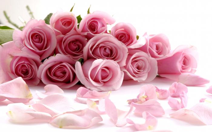 цветы розовые розы