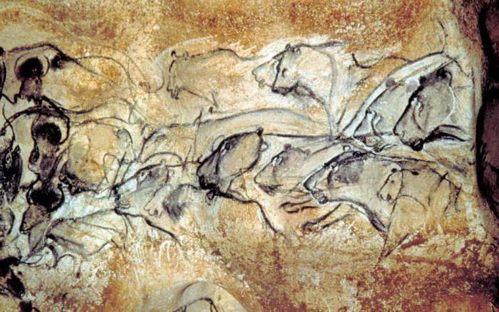 сцена сражения носорогов в пещере шове