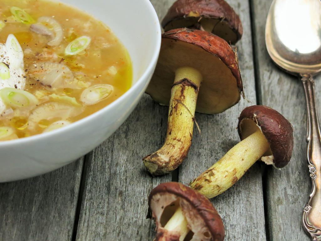 куриный суп с грибами и вермишелью 2
