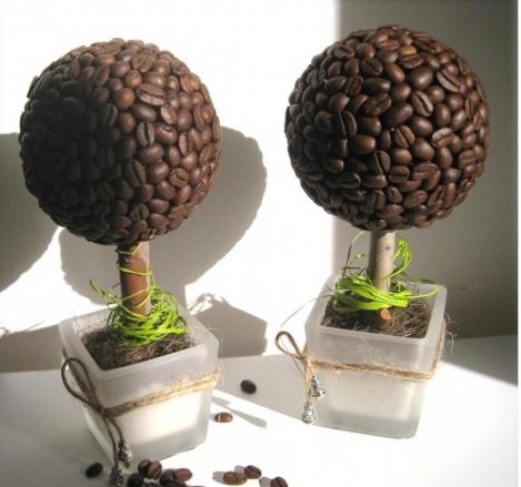 bean coffee tree